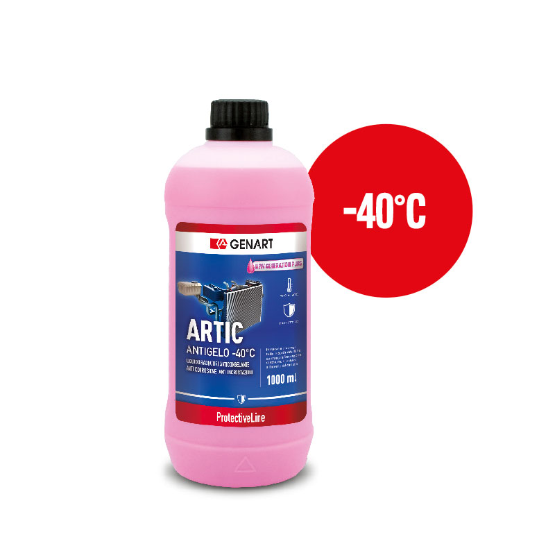 Brigel, detergente antigelo concentrato -60°C - Gen-Art